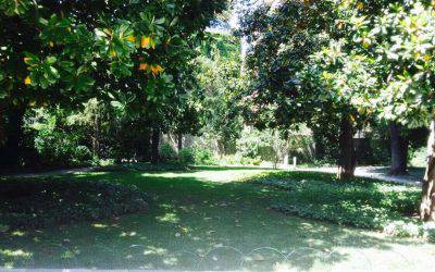 Verde Necchi, storie e segreti di un giardino nel centro di Milano